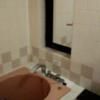パラドール(名古屋市中村区/ラブホテル)の写真『401号室の風呂場2』by エロスギ紳士