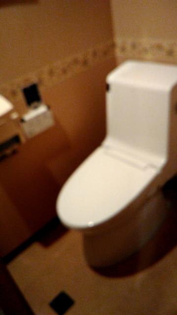 パラドール(名古屋市中村区/ラブホテル)の写真『401号室のトイレ1』by エロスギ紳士