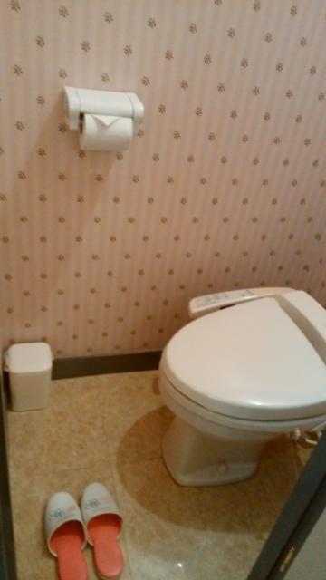 HOTEL STATION リオン(台東区/ラブホテル)の写真『403号室トイレ』by オレの地雷を越えてゆけ！