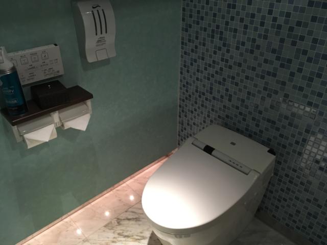 HOTEL GRASSINO URBAN RESORT 浦和 （ホテルグラッシーノアーバンリゾートウラワ）(さいたま市緑区/ラブホテル)の写真『505号室 トイレ』by 口コミ野郎