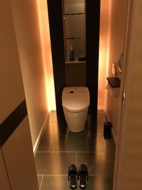 HOTEL GRASSINO URBAN RESORT 浦和 （ホテルグラッシーノアーバンリゾートウラワ）(さいたま市緑区/ラブホテル)の写真『603号室のトイレ』by 口コミ野郎