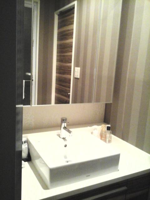 AMAND HOTEL（アマンド）(文京区/ラブホテル)の写真『601号室  洗面所主要部近影』by ルーリー９nine