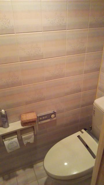 ホテル100% 7/7 平塚キャッスル(平塚市/ラブホテル)の写真『505号室。トイレの写真です。ウォシュレット付きです。』by キジ