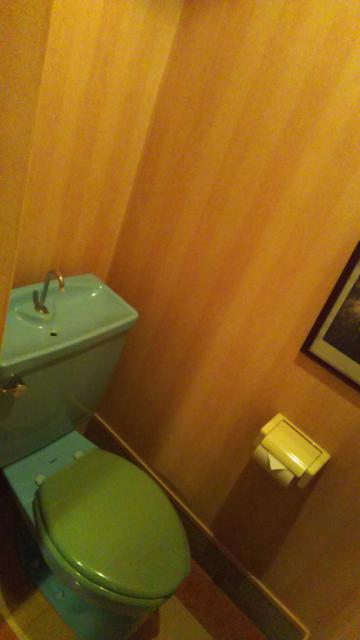 ホテル ルポ(墨田区/ラブホテル)の写真『302号室、トイレ。昭和50年頃の造り。ウォシュレット無し。』by キジ