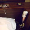 HOTEL GRASSINO URBAN RESORT(立川市/ラブホテル)の写真『321号室、ベッド脇の携帯電話充電器と電マ』by もんが～
