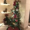 HOTEL AILU(アイル)(豊島区/ラブホテル)の写真『フロントのクリスマスツリー』by 口コミ野郎
