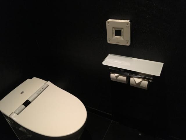 HOTEL AILU(アイル)(豊島区/ラブホテル)の写真『406号室のトイレ』by 口コミ野郎