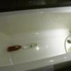 HOTEL SARD（サード）(豊島区/ラブホテル)の写真『102号室（浴槽はポットボトル5本分。片側が逆台形になっているので2人で入れる大きさです）』by 格付屋