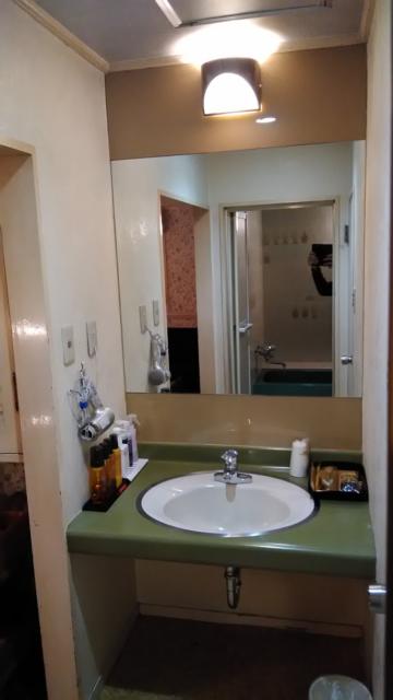 ザ・スターホテル(名古屋市中村区/ラブホテル)の写真『307号室洗面台』by エロスギ紳士