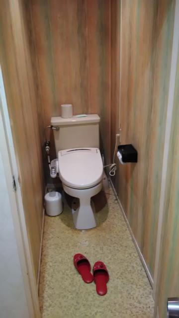 ザ・スターホテル(名古屋市中村区/ラブホテル)の写真『307号室トイレ』by エロスギ紳士