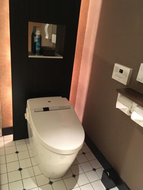 HOTEL GRASSINO URBAN RESORT 浦和 （ホテルグラッシーノアーバンリゾートウラワ）(さいたま市緑区/ラブホテル)の写真『604号室のトイレ』by 口コミ野郎