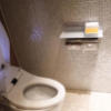 アペルト(豊島区/ラブホテル)の写真『806号室　玄関を入ってすぐの最新トイレ』by INA69