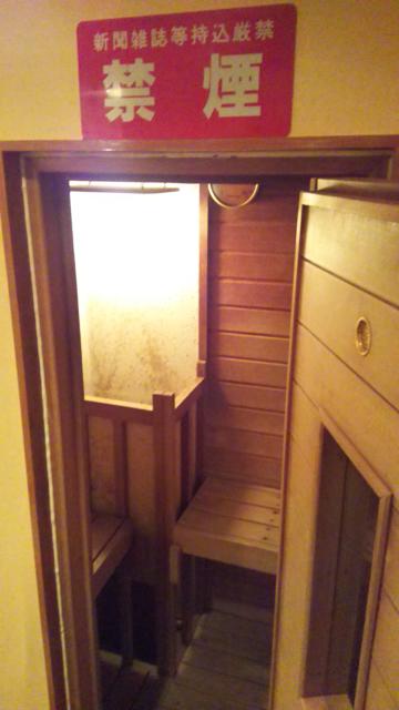 湘南ベイホテル(茅ヶ崎市/ラブホテル)の写真『311号室。二人で入れるサウナもあります。』by キジ