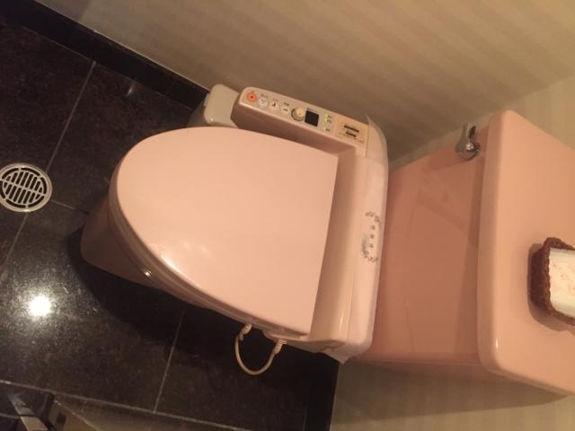 PLAZA K(プラザＫ)(八王子市/ラブホテル)の写真『206号室、トイレ』by 日本代表