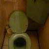 ル・ペイブラン(渋谷区/ラブホテル)の写真『503号室（トイレです。ウオシュレットでないばかりか、ふたがガバガバしていて今にも取れてしまいそうです。座るのも恐ろしいと連れが言ってました。苦笑）』by 格付屋