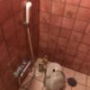 ミンク町田(相模原市/ラブホテル)の写真『（206号室）浴室１シャワー周り』by こーめー