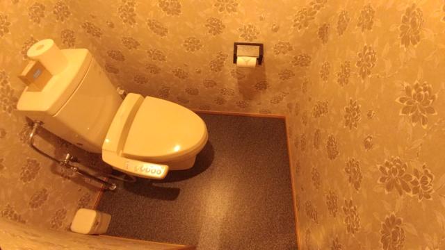 ホテルAYA(彩)(柏市/ラブホテル)の写真『308号室 トイレ』by 来栖