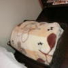 レンタルルーム オーロラ(荒川区/ラブホテル)の写真『305号室の毛布』by おこ