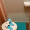 Hotel totolo（トトロ）(豊島区/ラブホテル)の写真『203号室：トイレ』by オレの地雷を越えてゆけ！
