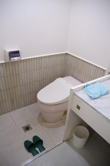 Hotel Rivage(リバージュ)(京都市東山区/ラブホテル)の写真『101号室　洗面室内トイレ』by マーケンワン