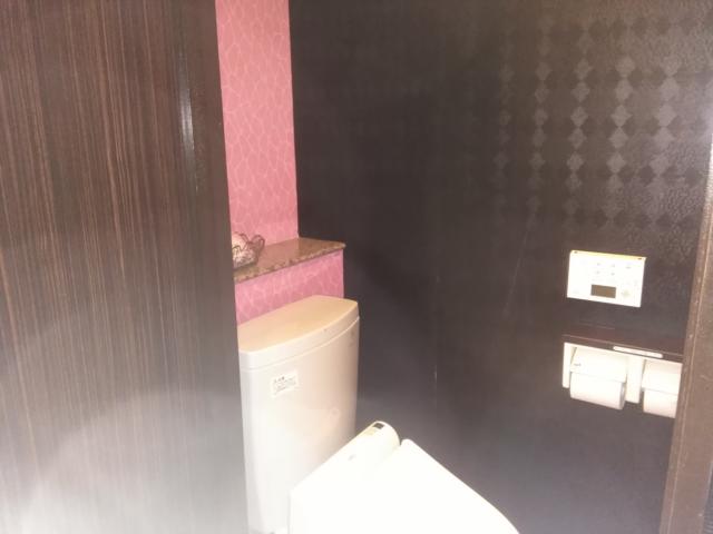 ドルフィン(八王子市/ラブホテル)の写真『705 トイレ』by 名無しさん（ID:28468）
