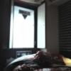 RAMSES SEVEN(ラムセスセブン)(豊島区/ラブホテル)の写真『405号室ベッド、窓(非常用脱出口)』by ルーリー９nine