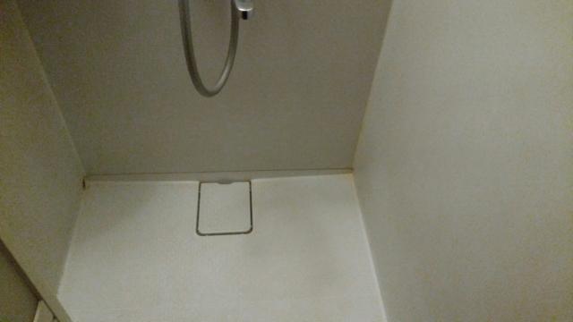 レンタルルーム MK(千代田区/ラブホテル)の写真『805号室のシャワールーム3』by 上戸 信二