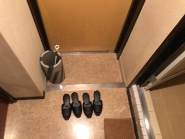 HOTEL KATSURA(カツラ)(台東区/ラブホテル)の写真『202号室 小さな玄関』by みこすりはん