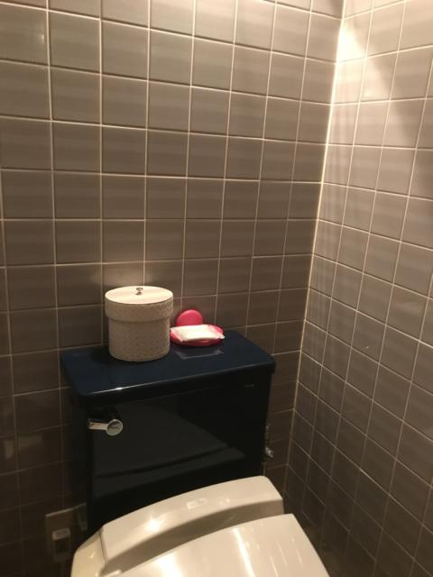 ラピア(新宿区/ラブホテル)の写真『406号室のトイレ②』by 少佐