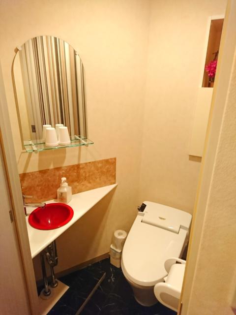 新日本プラザホテル(船橋市/ラブホテル)の写真『52号室 トイレ』by fooo