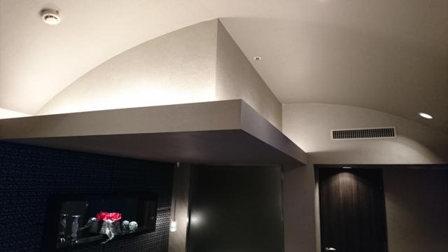 アラウダリゾート国立(国立市/ラブホテル)の写真『509号室、丸い天井』by おむすび