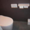 錦糸町 プチテル(墨田区/ラブホテル)の写真『303号室のトイレ（温水シャワー付き）』by YOSA69