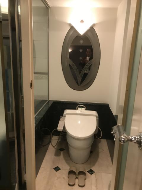 HOTEL CEAN新宿（セアン）(新宿区/ラブホテル)の写真『605号室のトイレ①』by 少佐