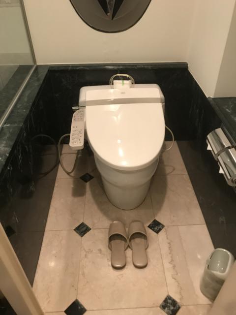 HOTEL CEAN新宿（セアン）(新宿区/ラブホテル)の写真『605号室のトイレ③』by 少佐