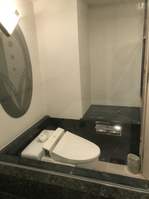 HOTEL CEAN新宿（セアン）(新宿区/ラブホテル)の写真『浴室から見たトイレ内部』by 少佐