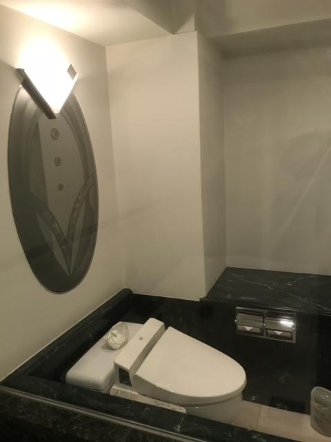HOTEL CEAN新宿（セアン）(新宿区/ラブホテル)の写真『浴室から見たトイレ内部②』by 少佐
