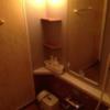 HOTELソシアルプラザ(さいたま市大宮区/ラブホテル)の写真『301号室 バスルーム 洗い場』by サトナカ