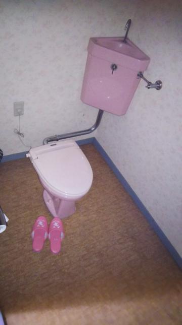 ホテル キャンディー(吉岡町/ラブホテル)の写真『1号室利用。トイレです。恐ろしく広くて、かなり寒かったです。』by キジ