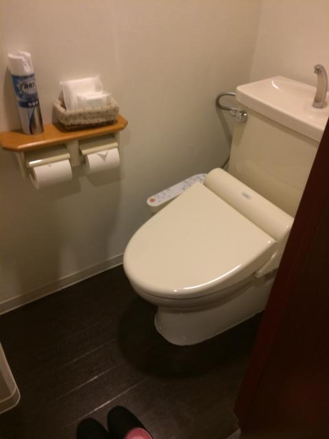 Hotel Blast（ブラスト）(仙台市青葉区/ラブホテル)の写真『501号室 トイレ』by 名無しさん（ID:34218）