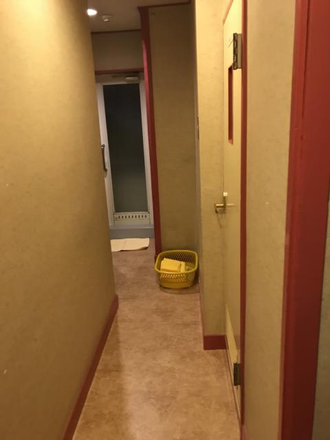 ホテルいいじま(新宿区/ラブホテル)の写真『203号室 玄関から浴室までの廊下』by 少佐
