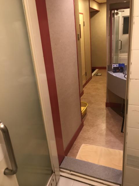 ホテルいいじま(新宿区/ラブホテル)の写真『203号室 浴室から玄関までの廊下』by 少佐