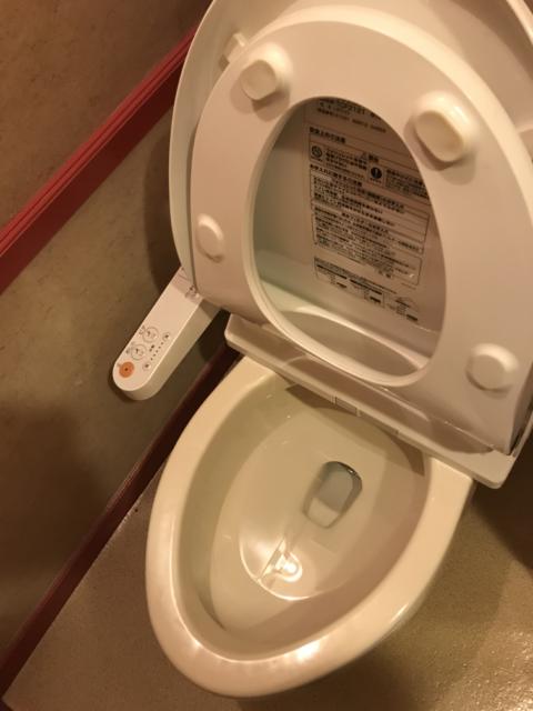 ホテルいいじま(新宿区/ラブホテル)の写真『トイレの便器』by 少佐