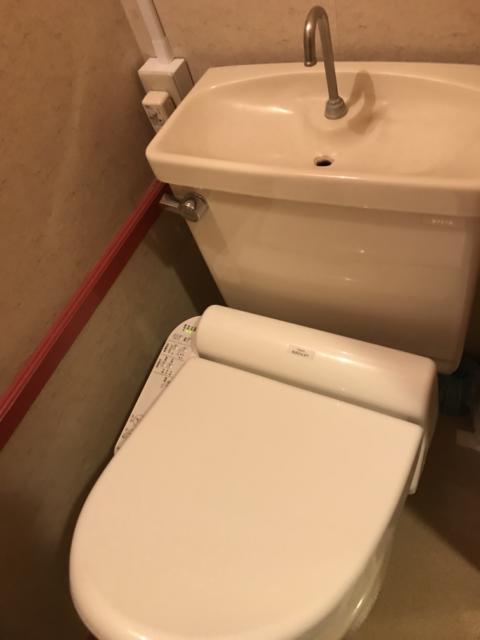 ホテルいいじま(新宿区/ラブホテル)の写真『203号室のトイレ②』by 少佐