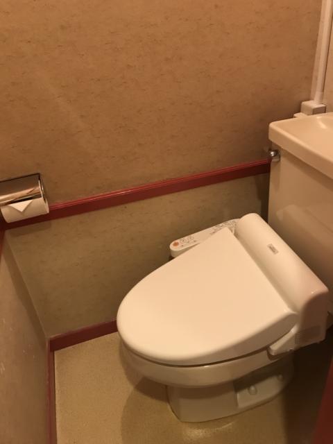 ホテルいいじま(新宿区/ラブホテル)の写真『203号室のトイレ③』by 少佐
