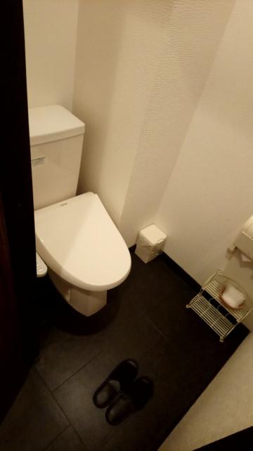 ラグナスカイ＆ロコパーク(神栖市/ラブホテル)の写真『ラグナスカイ307号室　トイレ』by かーたー