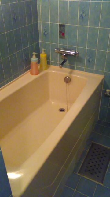 ホテルフロリダ(豊島区/ラブホテル)の写真『102号室 浴室』by ましりと