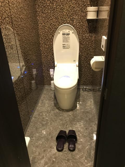 ラピア(新宿区/ラブホテル)の写真『501号室のトイレ①』by 少佐