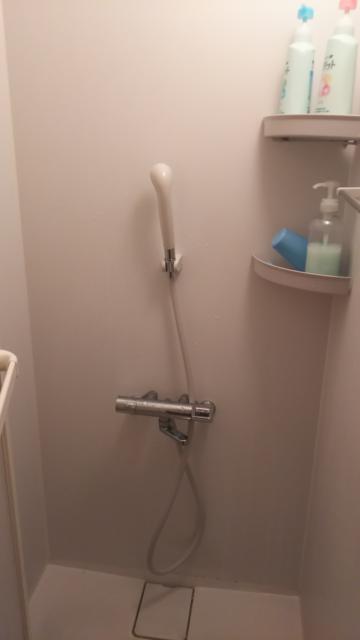 レンタルルーム オーロラ(荒川区/ラブホテル)の写真『２０２号室のシャワー室』by たけのこ