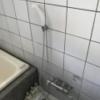 SUN PALACE(台東区/ラブホテル)の写真『（205号室）浴室、シャワー、ボディーソープなどあります。』by こーめー