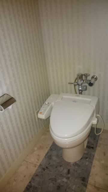 ホテル ２００１(江戸川区/ラブホテル)の写真『302号室　トイレ（清潔で広い）』by YOSA69
